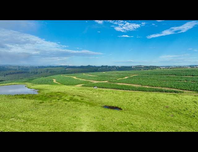 LAND FOR SALE IN MOUNT VERDE